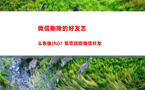 微信刪除的好友怎么恢復(fù)？幫您找回微信好友(微信刪除的好友怎么加)
