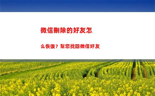 微信刪除的好友怎么恢復？幫您找回微信好友(微信刪除的好友怎么加)
