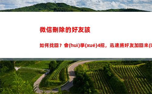 微信刪除的好友該如何找回？會(huì)學(xué)4招，迅速將好友加回來(lái)(如何刪除微信好友徹底刪除)