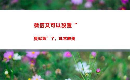 微信又可以設置“雙狀態”了，非常唯美(微信視頻設置在哪里可以找到)