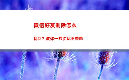 微信好友刪除怎么找回？教你一招從此不發愁(微信好友刪除怎么加回來)