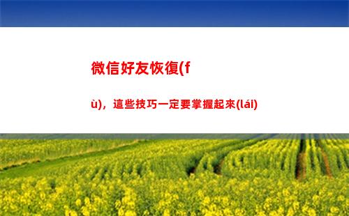 微信好友恢復(fù)，這些技巧一定要掌握起來(lái)(微信好友恢復(fù)免費(fèi)版)