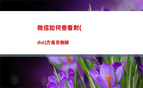 微信如何查看對(duì)方是否刪除(微信如何查看對(duì)方姓名)