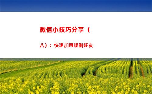 微信小技巧分享（八）：快速加回誤刪好友(微信有趣的隱藏小技巧)