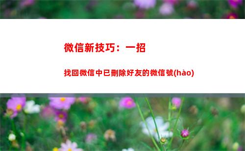 微信新技巧：一招找回微信中已刪除好友的微信號(hào)(一招分辨微信是男是女)