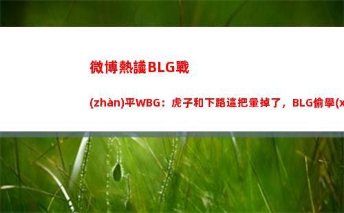 微博熱議BLG戰(zhàn)平WBG：虎子和下路這把暈掉了，BLG偷學(xué)T1的體系哇