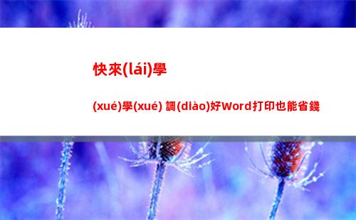 快來(lái)學(xué)學(xué) 調(diào)好Word打印也能省錢！