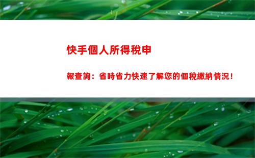 輕松查詢個稅年度，快捷掌握納稅狀況！
