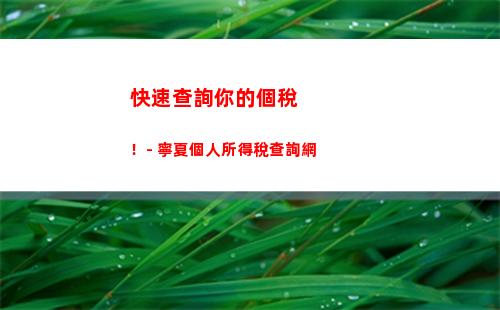 少交錢，多享受福利！長沙個人所得稅繳納，一鍵查詢，快速繳納！
