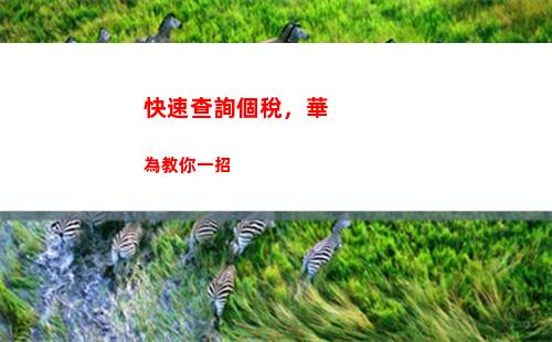 想知道自己的個稅有多少？快來查詢吧！(26個字符)