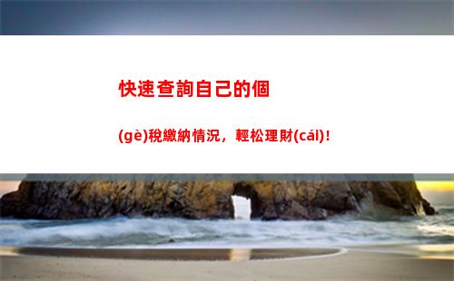 快速查詢個(gè)人所得稅，輕松掌握納稅信息！