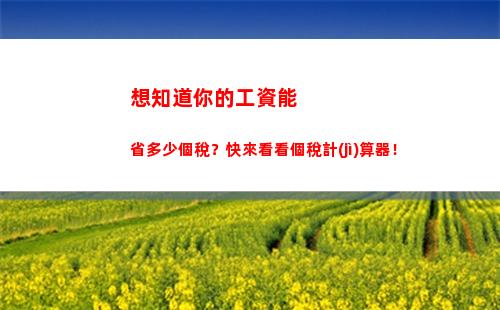 輕松計(jì)算個稅！根據(jù)應(yīng)發(fā)工資快速算出您的個人所得稅！