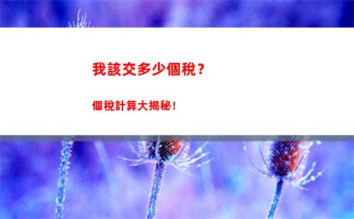 年終獎來臨！輕松計算個人所得稅，少交錢多拿獎！