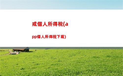 個人運輸所得征個人所得稅(租賃所得征個人所得稅)
