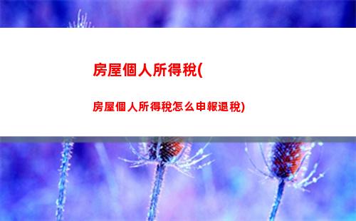吉林個人所得稅所得率(個人所得稅 應稅所得率)