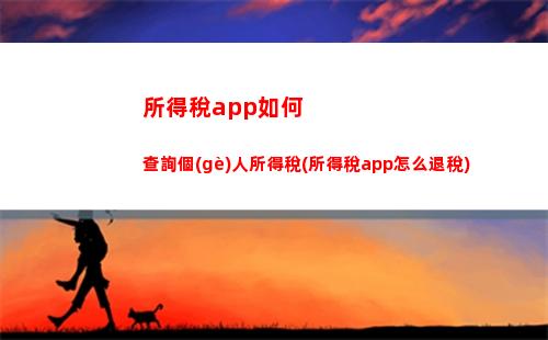 快速查詢自己的個(gè)稅繳納情況，輕松理財(cái)！
