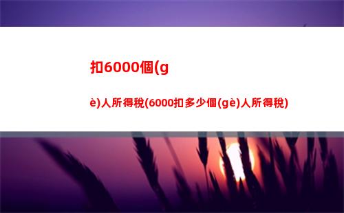 靖江個(gè)人所得稅(靖江工資個(gè)人所得稅起征點(diǎn)是多少)