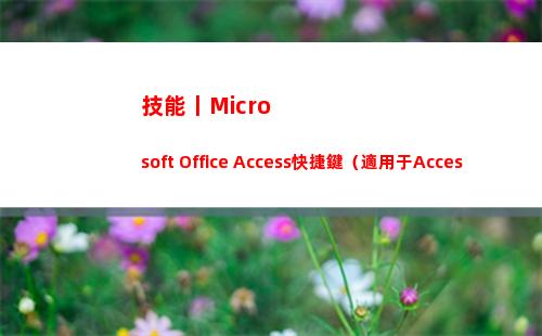 技能丨Microsoft Office Access快捷鍵（適用于Access2013/2016）