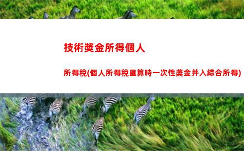 房屋個人所得稅誰交(房屋個人所得稅怎么交)