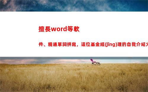 擅長word等軟件、精通單詞拼寫，這位基金經(jīng)理的自我介紹火出圈(擅長word等軟件)
