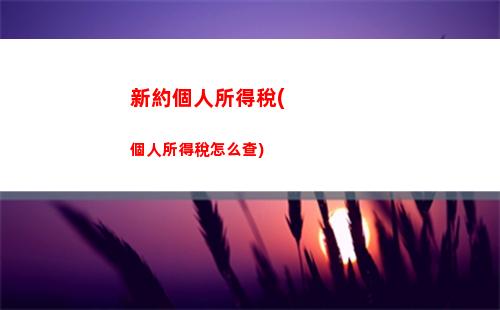快來了解個人所得稅電腦端登錄，輕松查詢個稅余額！
