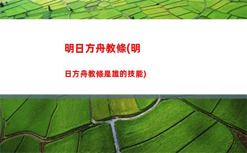 明日方舟蕾絲(明日方舟資料站wiki)