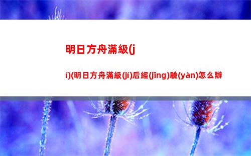 明日方舟怕(明日方舟怕拉絲模組)