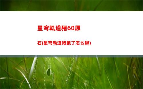 捉迷藏任務星穹軌道(崩壞星穹軌道捉迷藏任務)
