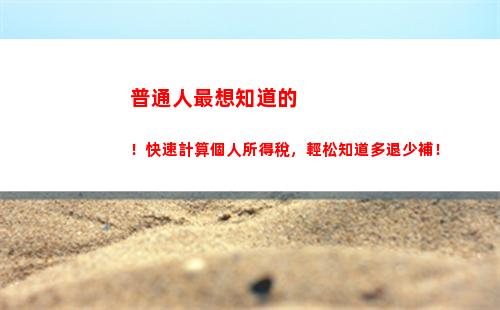 個人所得稅合并綜合所得(個人所得稅綜合所得年度自行申報)