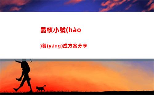 晶核小號(hào)養(yǎng)成方案分享