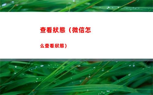 查看狀態（微信怎么查看狀態）