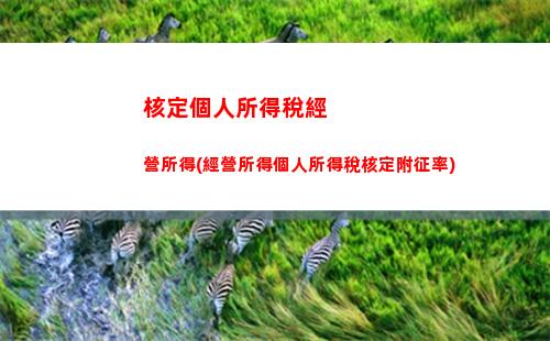國庫個人所得稅匯算清繳(國庫個人所得稅匯算清繳工作亮點)