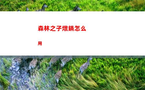 森林之子燉鍋怎么用