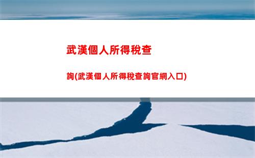 快速查詢個稅？掃描微信號即可！ (22個字符)