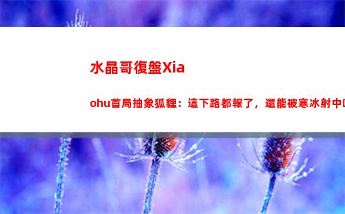 水晶哥復盤Xiaohu首局抽象狐貍：這下路都報了，還能被寒冰射中嗎？插圖