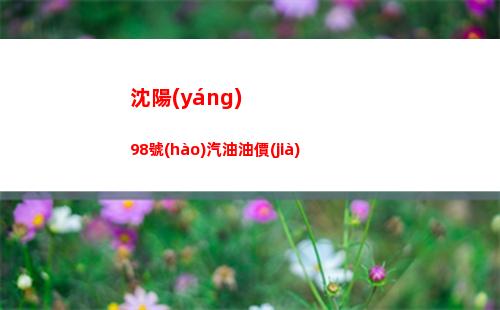 今日沈陽(yáng)98號(hào)汽油價(jià)調(diào)整最新消息（2022年03月25日）
