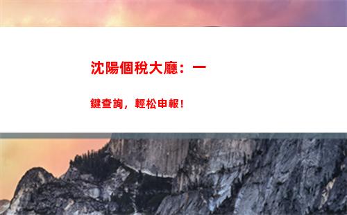 個人所得稅稅號查詢(個人所得稅怎么查詢扣稅)