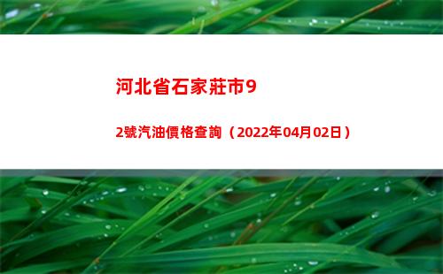 河北省石家莊市92號汽油價格查詢（2022年04月02日）