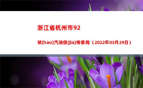 浙江省杭州市92號(hào)汽油價(jià)格查詢（2022年03月29日）