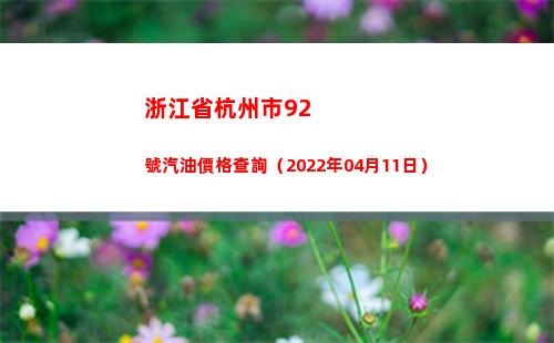 浙江省杭州市92號汽油價格查詢（2022年04月11日）