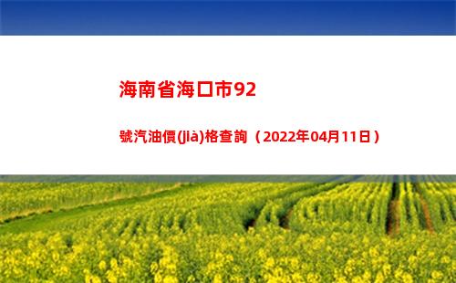 海南省海口市92號汽油價(jià)格查詢（2022年04月11日）