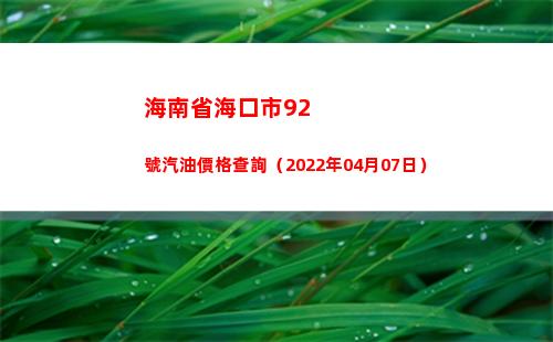 海南省海口市92號汽油價格查詢（2022年04月07日）