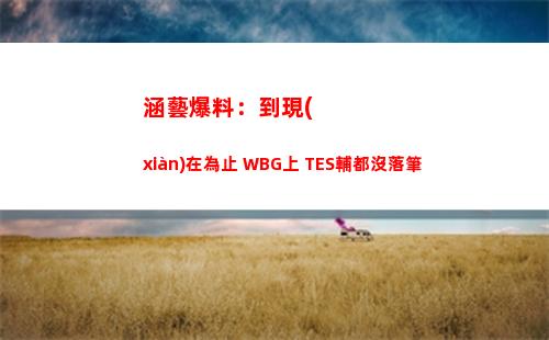 涵藝爆料：到現(xiàn)在為止 WBG上 TES輔都沒落筆