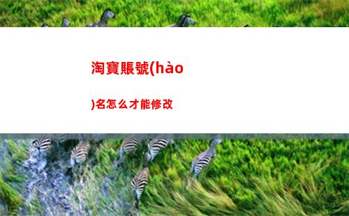 王國之淚相機(jī)怎么開