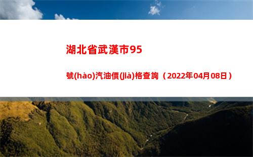 湖北省武漢市95號(hào)汽油價(jià)格查詢（2022年04月08日）