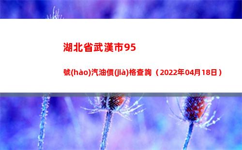 湖北省武漢市95號(hào)汽油價(jià)格查詢（2022年04月18日）
