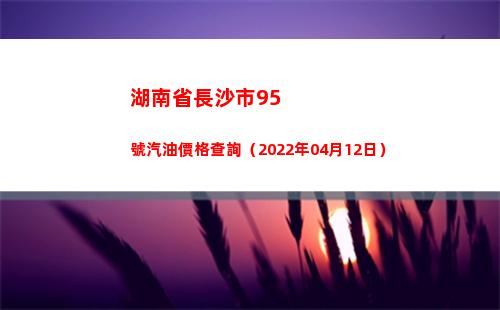湖南省長沙市95號汽油價格查詢（2022年04月12日）插圖