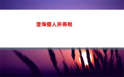 高嶺土個人所得稅