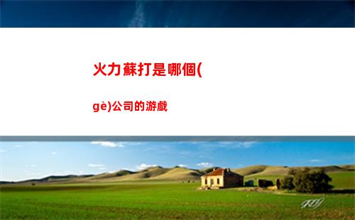 火力蘇打是哪個(gè)公司的游戲