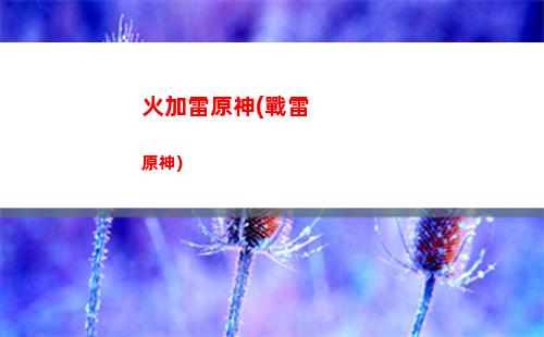 祭禮原神(原神 祭禮長槍)